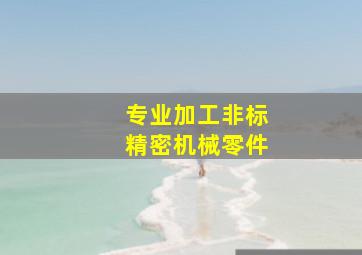 专业加工非标精密机械零件