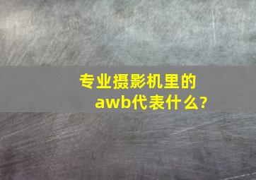 专业摄影机里的awb代表什么?