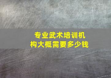 专业武术培训机构大概需要多少钱