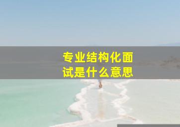 专业结构化面试是什么意思