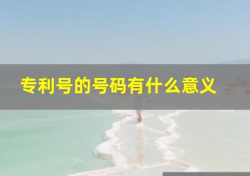 专利号的号码有什么意义 