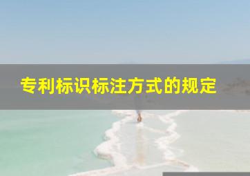 专利标识标注方式的规定 