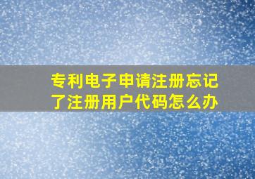 专利电子申请注册忘记了注册用户代码怎么办