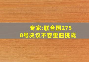 专家:联合国2758号决议不容歪曲挑战