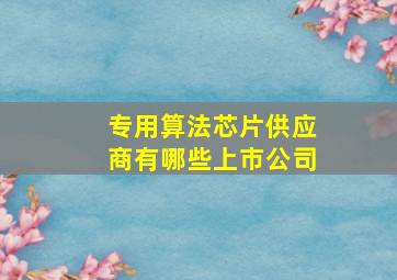 专用算法芯片供应商有哪些上市公司