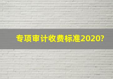 专项审计收费标准2020?