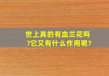 世上真的有血兰花吗?它又有什么作用呢?