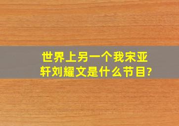 世界上另一个我宋亚轩刘耀文是什么节目?