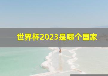 世界杯2023是哪个国家