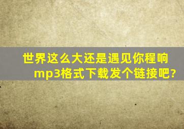 世界这么大还是遇见你,程响mp3格式下载,发个链接吧?