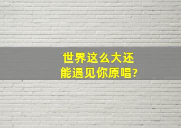 世界这么大还能遇见你原唱?