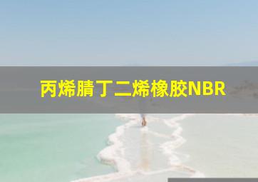 丙烯腈丁二烯橡胶(NBR) 