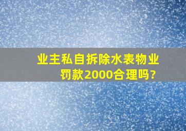 业主私自拆除水表物业罚款2000合理吗?