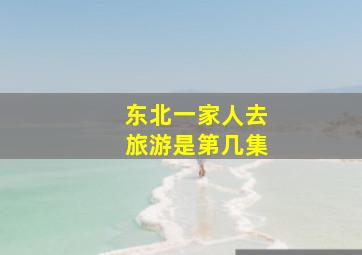 东北一家人去旅游是第几集