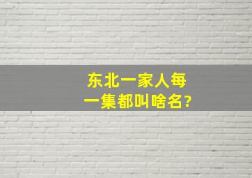 东北一家人每一集都叫啥名?