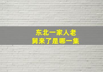 东北一家人老舅来了是哪一集