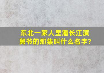 东北一家人里潘长江演舅爷的那集叫什么名字?