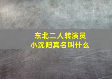 东北二人转演员小沈阳真名叫什么(