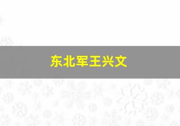 东北军王兴文