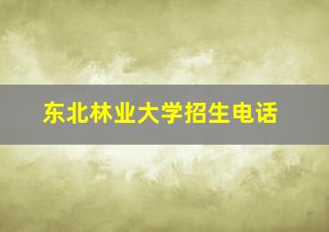 东北林业大学招生电话