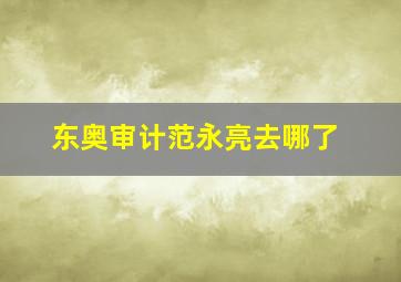 东奥审计范永亮去哪了