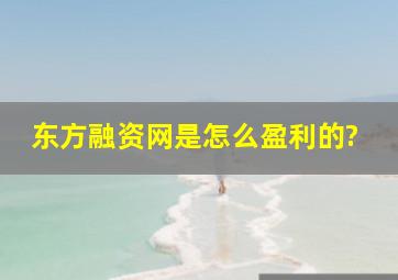 东方融资网是怎么盈利的?