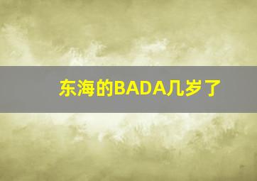 东海的BADA几岁了