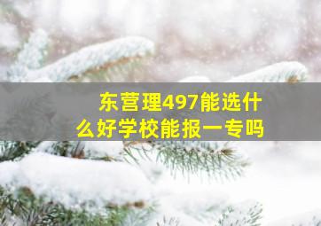 东营理497能选什么好学校,能报一专吗