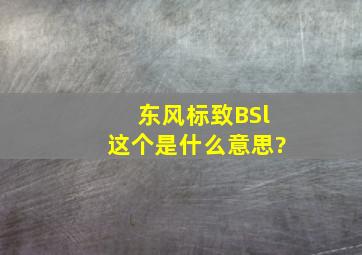 东风标致BSl这个是什么意思?