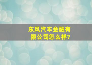 东风汽车金融有限公司怎么样?