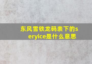 东风雪铁龙码表下的seryice是什么意思