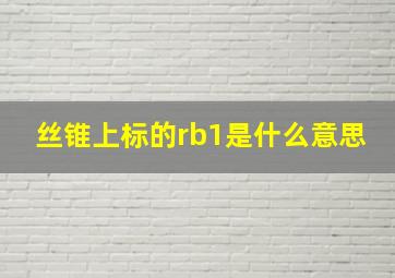 丝锥上标的rb1是什么意思