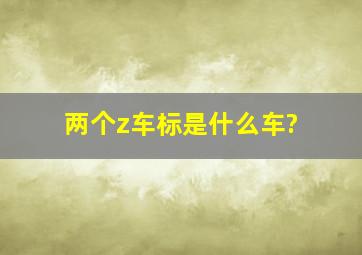 两个z车标是什么车?