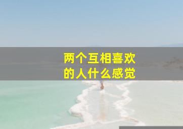 两个互相喜欢的人什么感觉