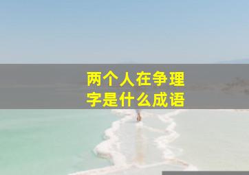 两个人在争理字是什么成语