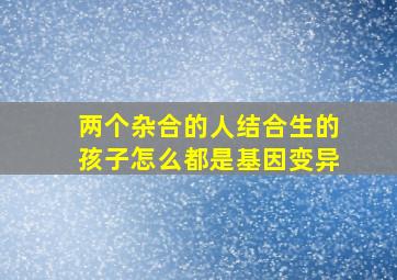 两个杂合的人结合生的孩子怎么都是基因变异