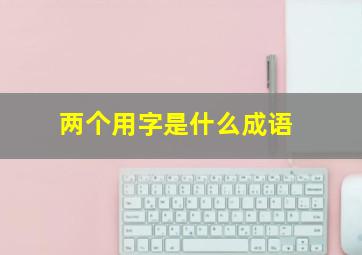 两个用字是什么成语