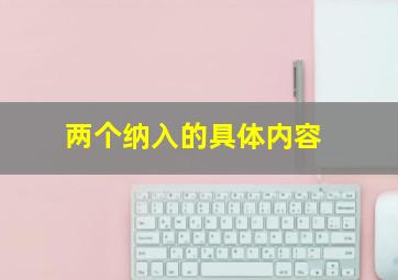 两个纳入的具体内容