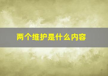 两个维护是什么内容 