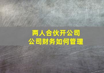 两人合伙开公司公司财务如何管理