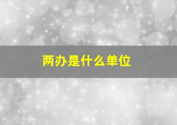 两办是什么单位