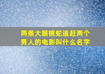 两条大眼镜蛇追赶两个男人的电影叫什么名字