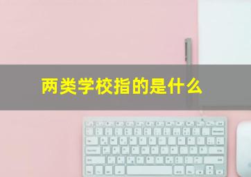 两类学校指的是什么