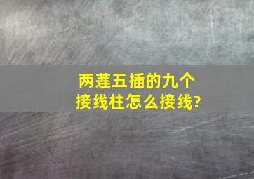 两莲五插的九个接线柱怎么接线?