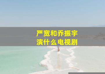 严宽和乔振宇演什么电视剧