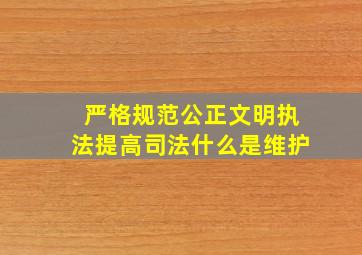 严格规范公正文明执法提高司法什么是维护