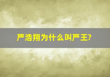 严浩翔为什么叫严王?