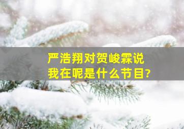 严浩翔对贺峻霖说 我在呢是什么节目?