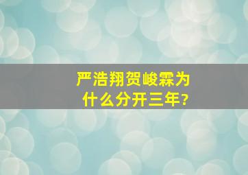 严浩翔贺峻霖为什么分开三年?