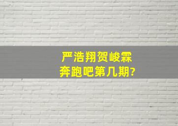 严浩翔贺峻霖奔跑吧第几期?